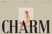 Roneys Drawn, a Serif Font by Craft Supply Co. (Thumbnail 5 of 8)