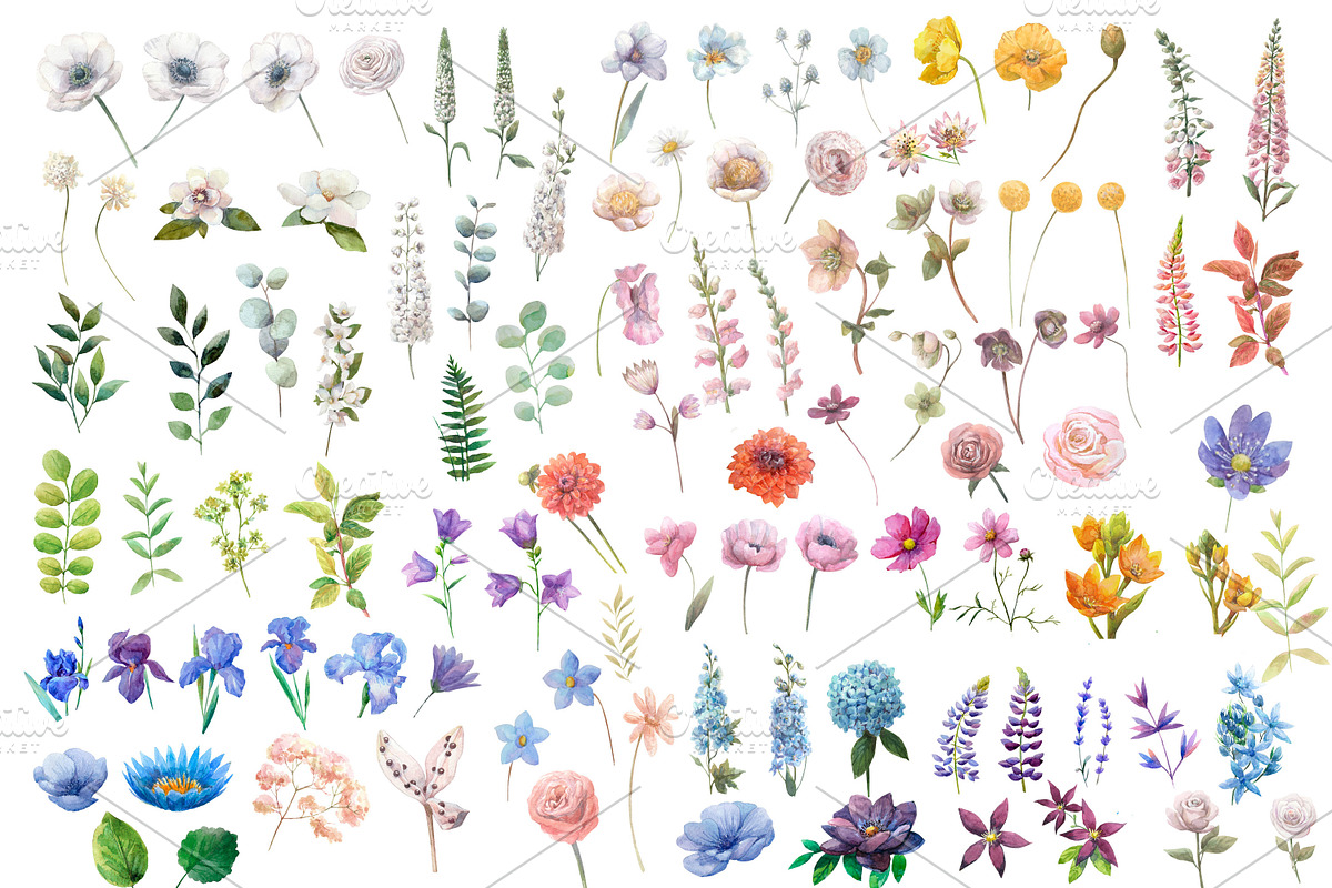 Watercolor summer wild flowers., an Illustration by yulia.sukhanova (Photo 2 of 4)