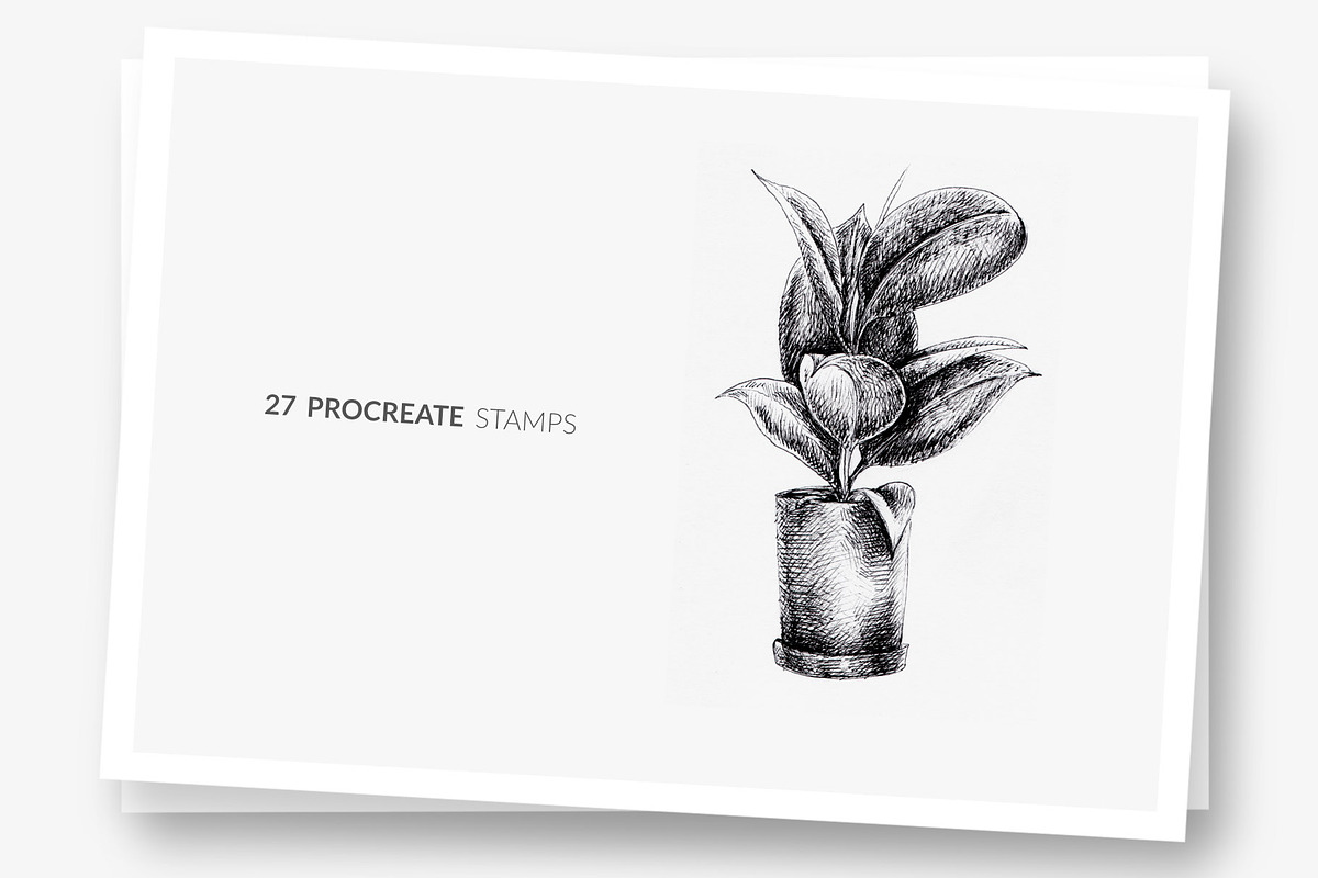 Procreate Brushes 27 Indoor plants, a Brush Add-On by Greek fonts by nantia.co (Photo 2 of 5)