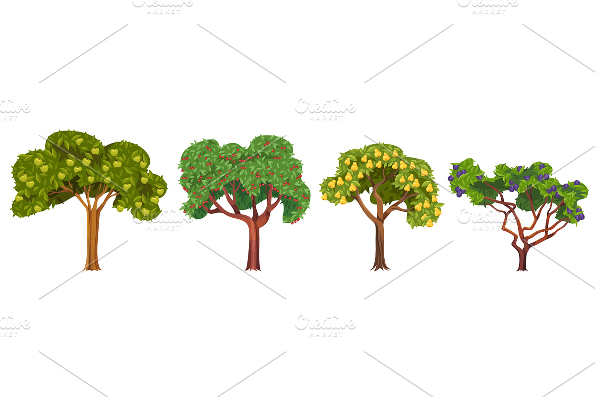 Set of fruit trees. Vector apple, an Object Illustration by Elegant Solution