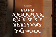 Newsford - Elegant Retro Serif Font, a Serif Font by Flawless And Co (Thumbnail 9 of 10)