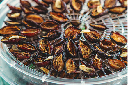 Plums dried in a dehydrator, a Food & Drink Photo by yanadjana