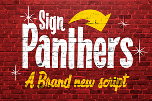 Sign Panthers Brush Script Vintage