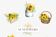 Summer sunflowers collection, an Illustration by ReachDreams (Thumbnail 3 of 7)