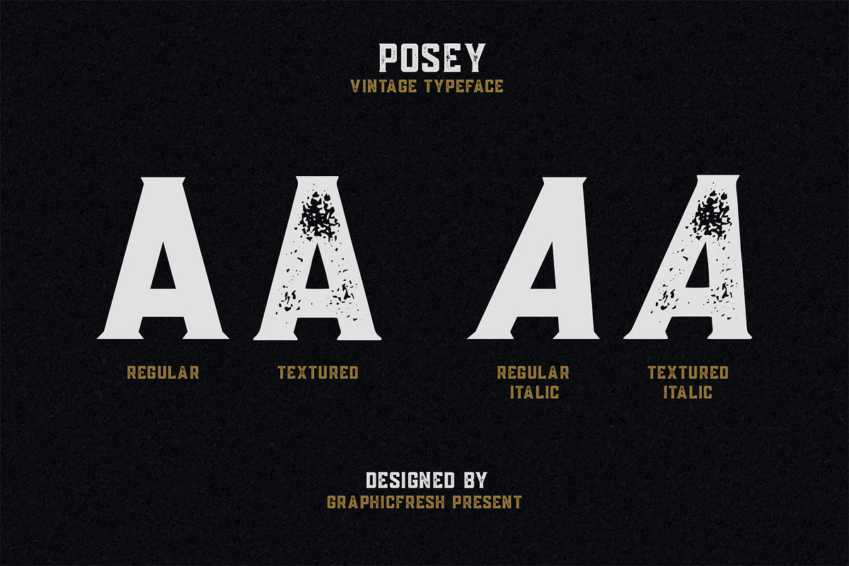 Posey - Vintage Type | 4 Font Files preview 3
