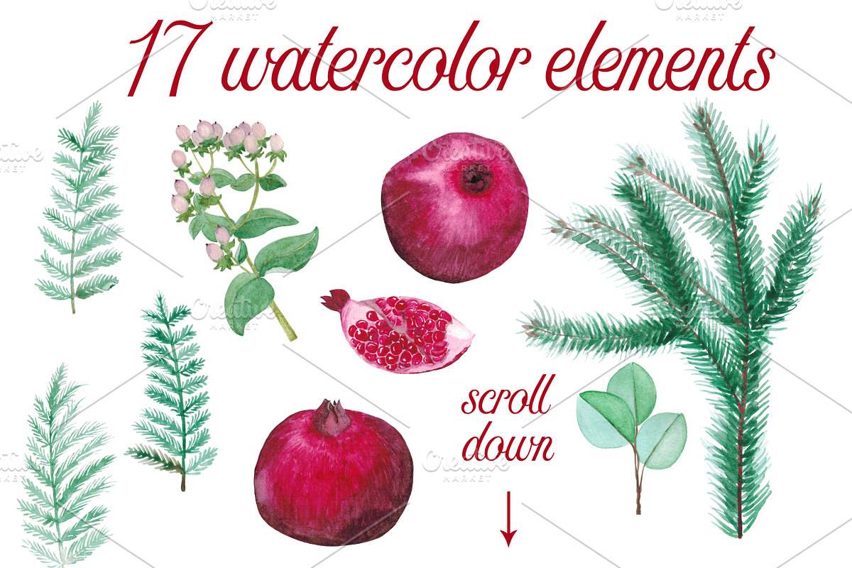 Watercolor Pomegranates Floral Set, a Decorative Illustration by WBS Design (Photo 6 of 7)