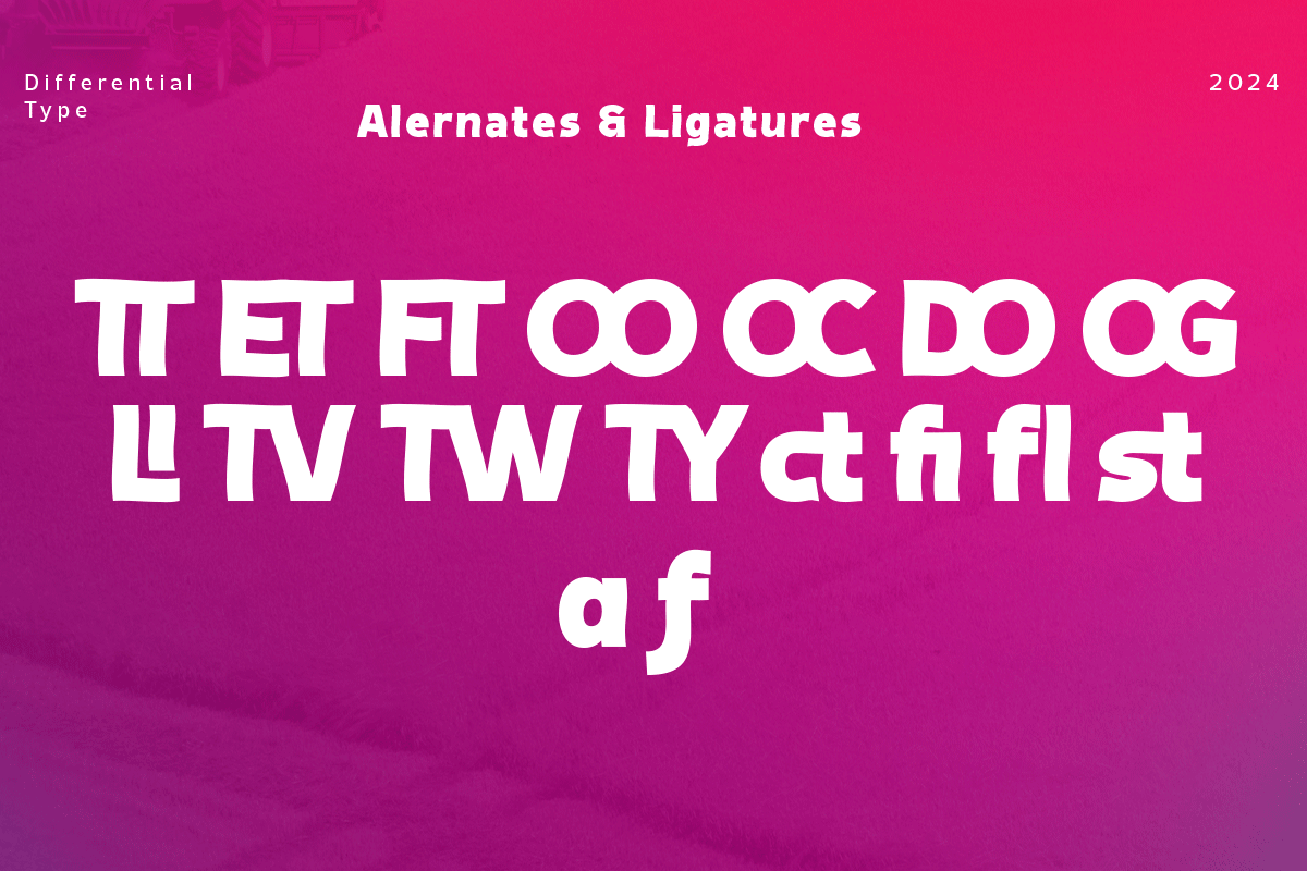 Iyadufx - Sans Display Font, a Sans Serif Font by Differentialtype (Photo 9 of 10)