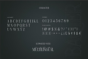 Baqier Modern Serif Font, a Serif Font by Dylla_studio (Thumbnail 9 of 9)