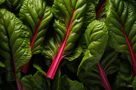 Fresh rhubarb leaves with vibrant green foliage and striking red stems, arrange, a Food & Drink Photo by Textures & Backgrounds
