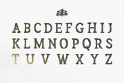 Arber Vintage font, a Script Font by Wild Ones (Thumbnail 3 of 12)