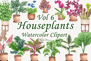 Houseplants Watercolor Clipart Vol6, an Object Illustration by BarvArt