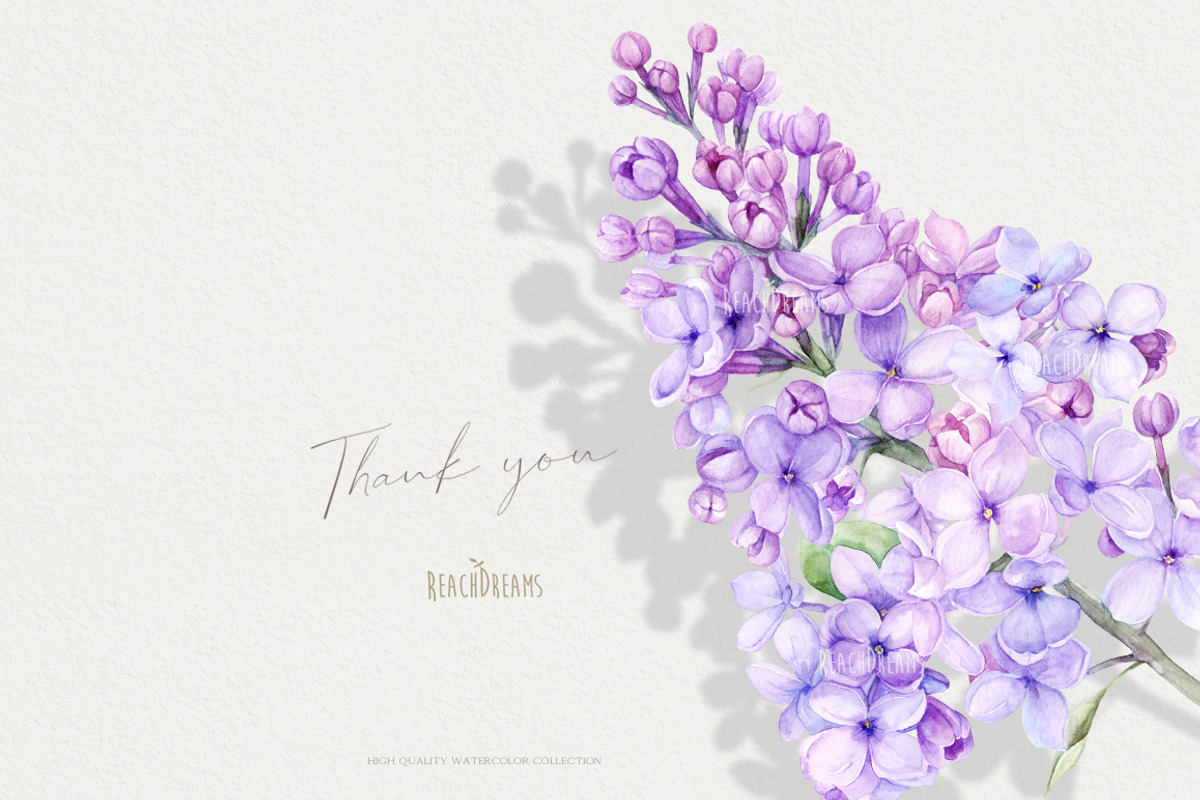Watercolor Lilac Floral Clipart, a Decorative Illustration by ReachDreams (Photo 10 of 10)