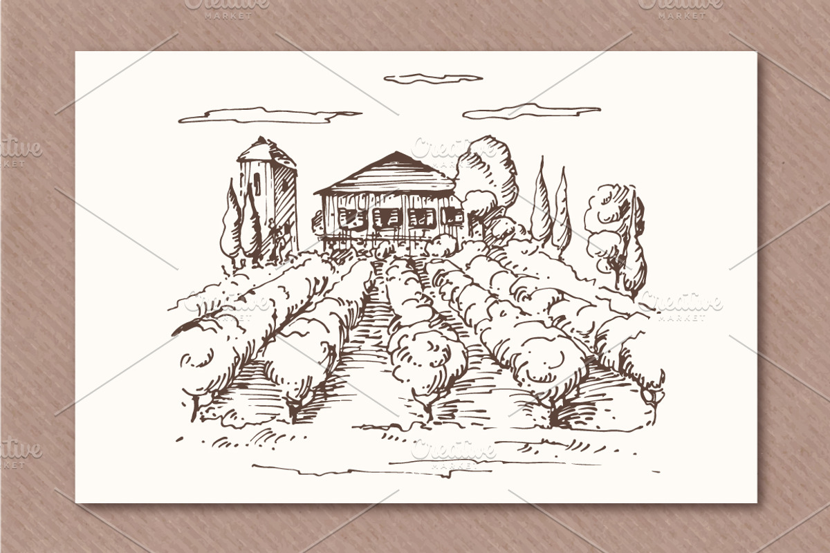 Hand drawn vineyards illustrations, an Illustration by Blue Ink Studio (Photo 5 of 5)
