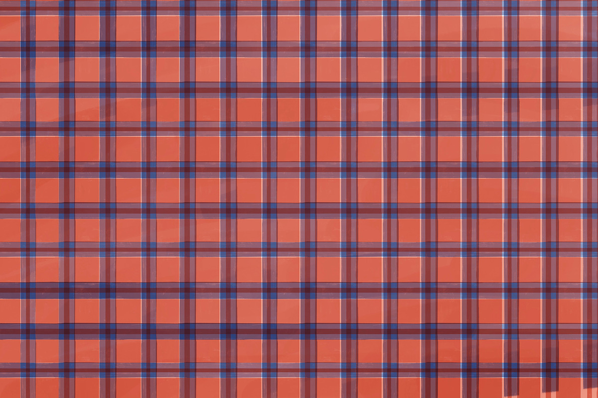 Check Pattern Brushes for Procreate, a Brush Add-On by Gaëlle Lalonde (Photo 20 of 21)