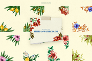 Sicilian Watercolor Fruits & Floral, a Decorative Illustration by Promo Graphics (Thumbnail 5 of 8)