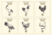 VECTOR CHICK HAND DRAWN BUNDLE VOL25, an Animal Illustration by pawellpi (Thumbnail 6 of 9)