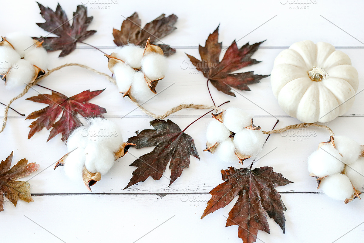 Fall Color Bundle Stock Photos, a Background Photo by SunnyTangerine Stock (Photo 7 of 10)