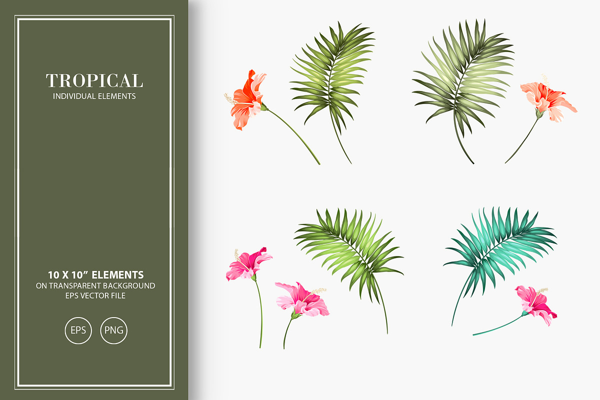 50% OFF! Tropical flowers & element, a Decorative Illustration by Kotkoa (Photo 3 of 6)