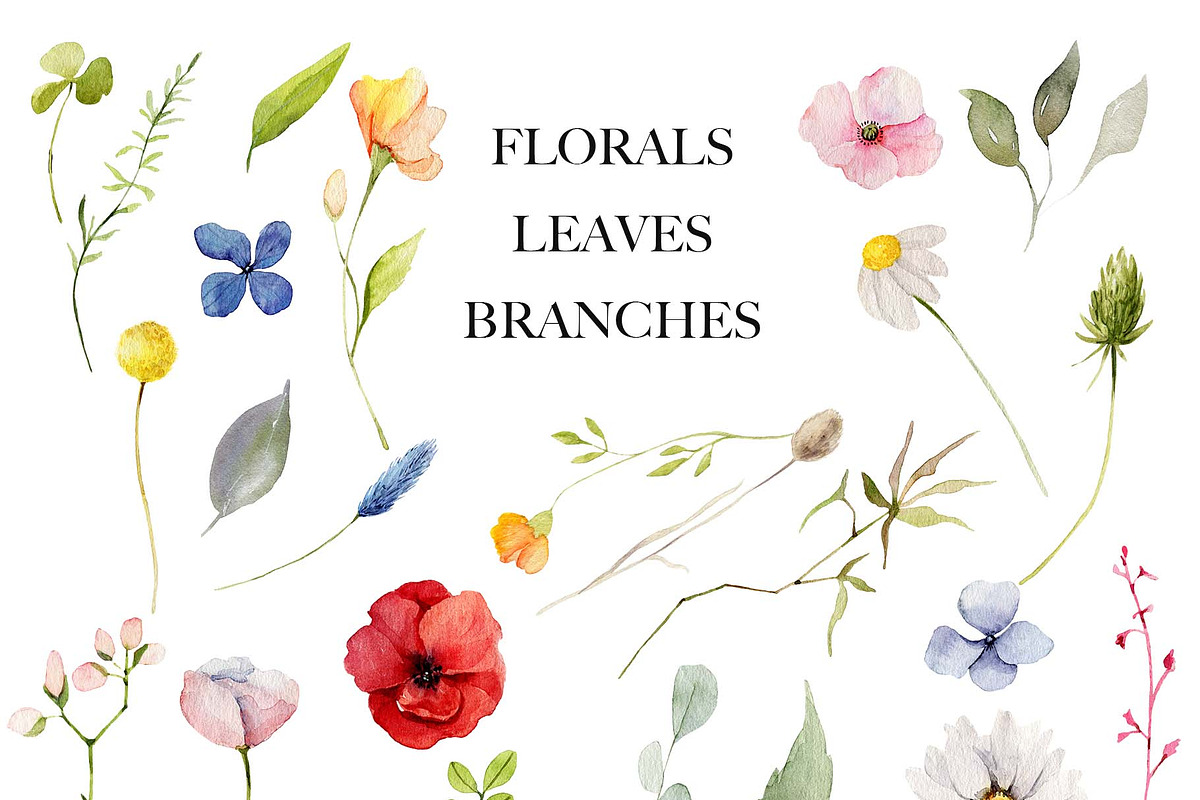 Wildflowers Floral Clipart Set, a Decorative Illustration by anastasiia.art (Photo 7 of 9)
