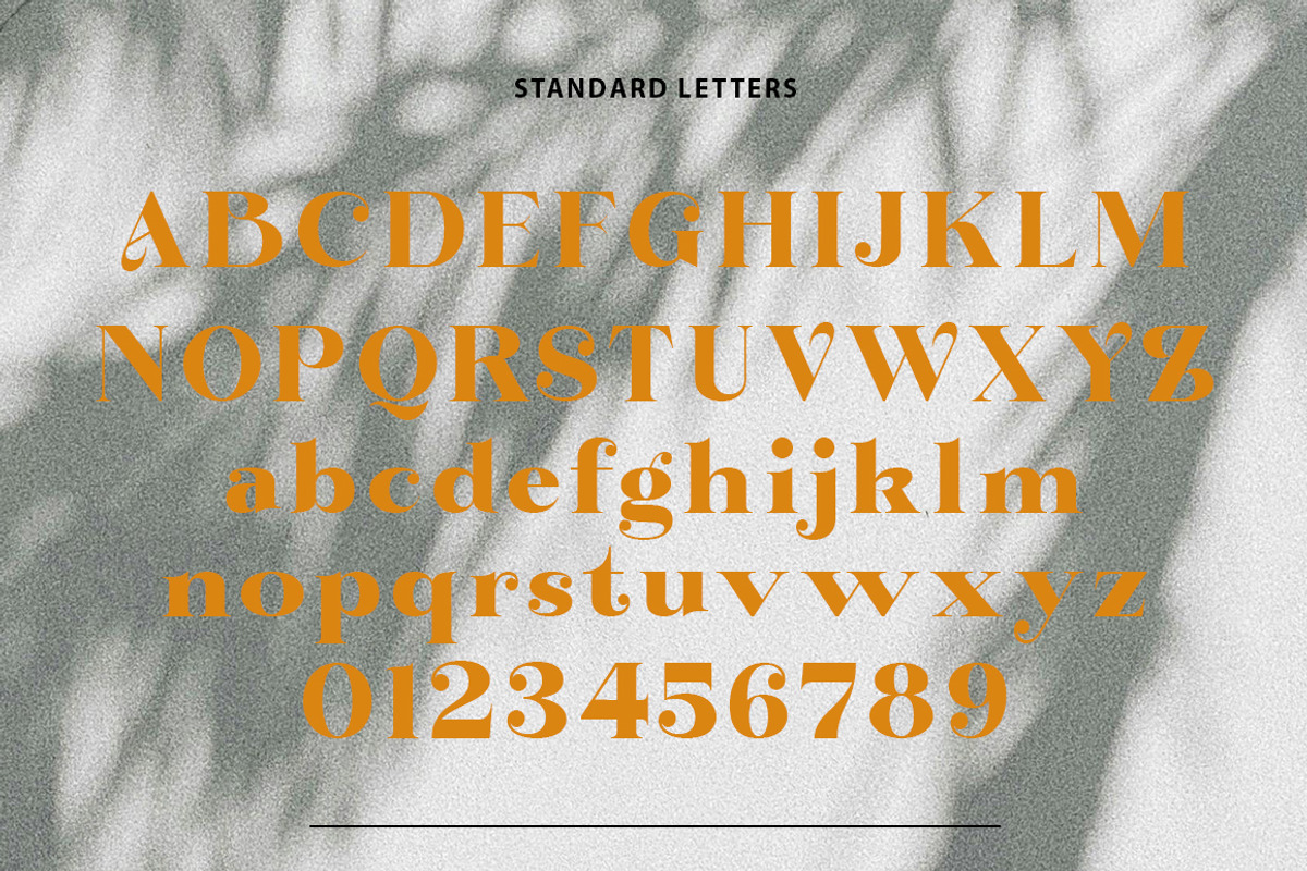 Bintro, a Serif Font by Propertype (Photo 8 of 10)