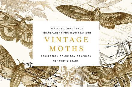 Gold Vintage Moths Illustration Pack, a Decorative Illustration by Century Library