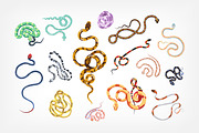 Snakes set and seamless, an Animal Illustration by Good Studio (Thumbnail 2 of 10)