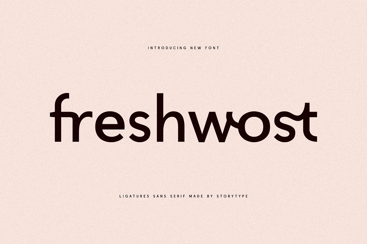 Freshwost Ligatures Sans Serif Font, a Sans Serif Font by Storytype Studio (Photo 1 of 19)