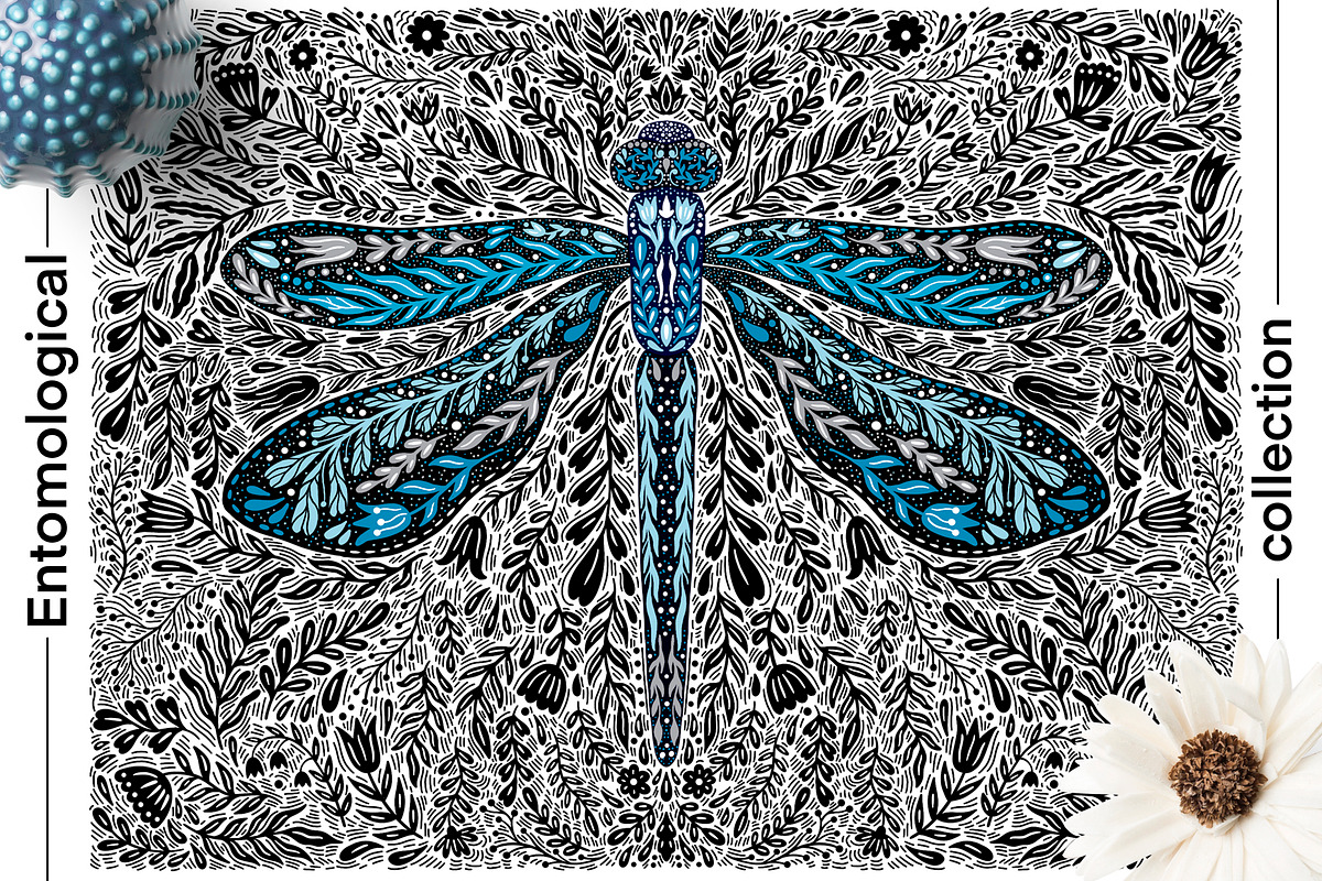 Entomological collection insect, a Decorative Illustration by Moonflora (Photo 2 of 13)