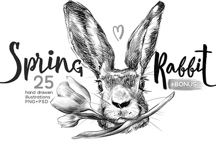 Spring Rabbit