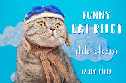 Funny Cat Pilot