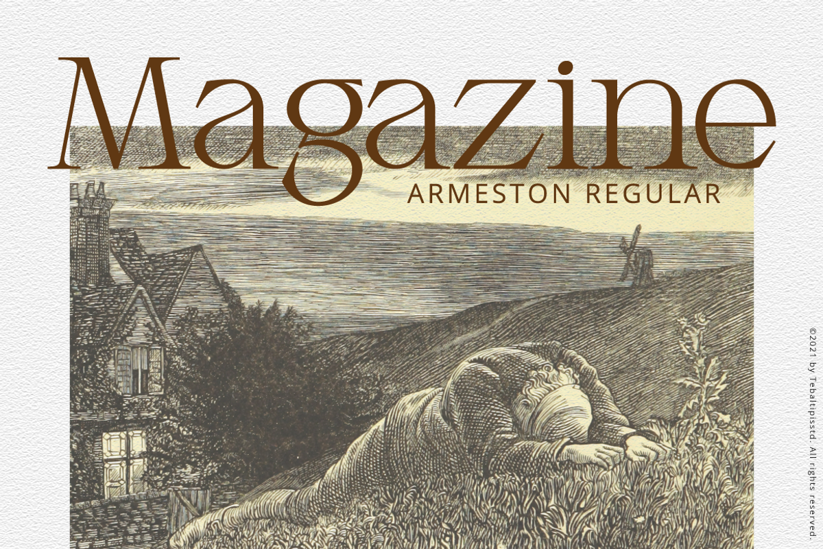 Armeston - Modern Serif, a Serif Font by tebaltipislab (Photo 12 of 15)