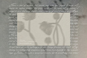 Diaphane - Blurry Floral Backgrounds, a Background Graphic by alonahaidash (Thumbnail 15 of 16)