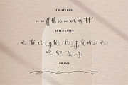 Aleani, a Script Font by Integritype Studio (Thumbnail 10 of 15)