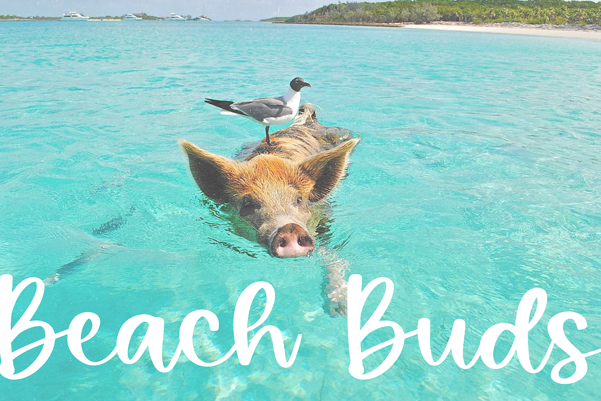 Summer Berries | Fun Script Font, a Script Font by KA Designs (Photo 11 of 13)