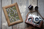 English Backyard patterns, a Pattern Graphic by Piñata (Thumbnail 15 of 15)