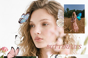 Butterflies Collection, an Object Graphic by Lana Elanor (Thumbnail 3 of 11)