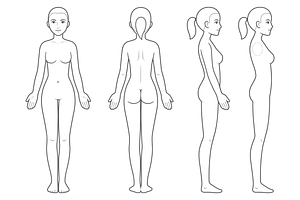Female body chart medical diagram