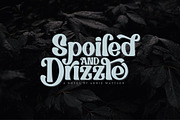 Brohemyan - Modern Vintage Serif, a Serif Font by Krakenbox Studio (Thumbnail 5 of 16)