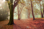 10 Stunning Matte Landscape Presets, a Preset Add-On by Timeless Presets (Thumbnail 3 of 13)