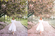 4 Spring Lightroom Presets, a Preset Add-On by AnagramDesign (Thumbnail 7 of 7)