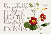 Faginta Minimalist Serif Font, a Serif Font by Perfectype (Thumbnail 5 of 8)