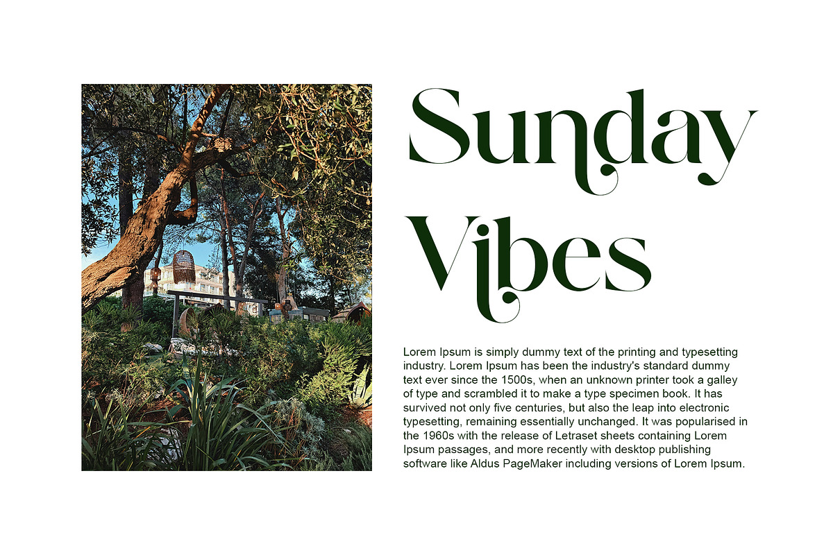 Belinda Modern Ligature Serif, a Serif Font by Alfinart (Photo 4 of 11)