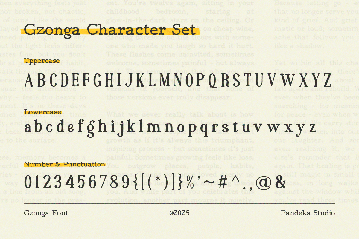 Gzonga - Retro Charm Serif, a Serif Font by Pandeka Studio (Photo 9 of 9)
