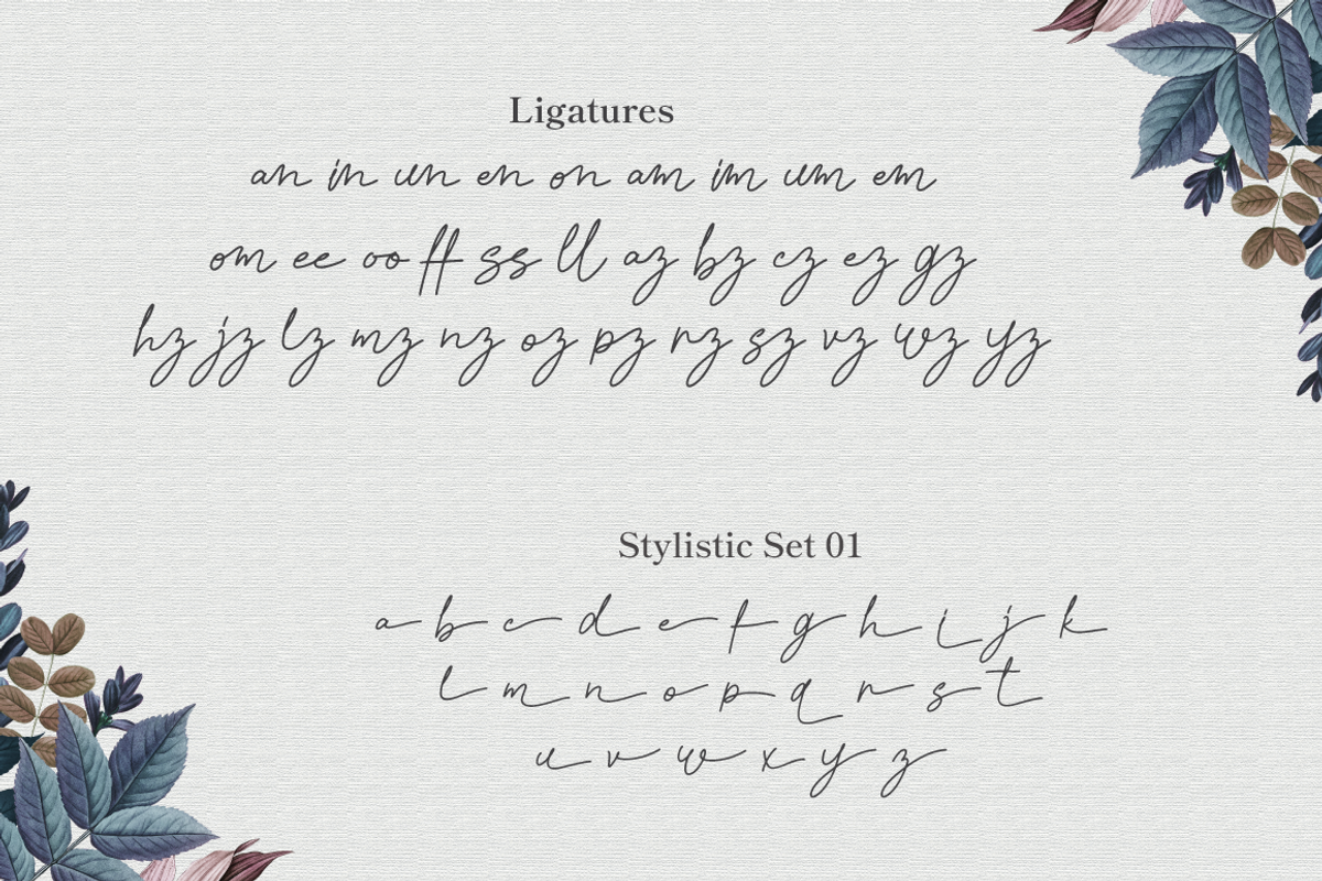Rosseta Notes - Monoline Signature, a Script Font by Attype (Photo 8 of 8)