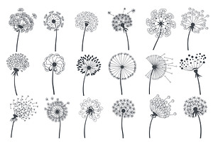 Dandelion silhouettes. Decorative, an Object Illustration by YummyBuum