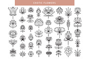 FOLK FLOWERS patterns, elements, an Outline Icon by Lena Nikolaeva (Thumbnail 4 of 12)