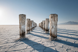 Wooden posts line a path across dry, a Photo by Pavel_design