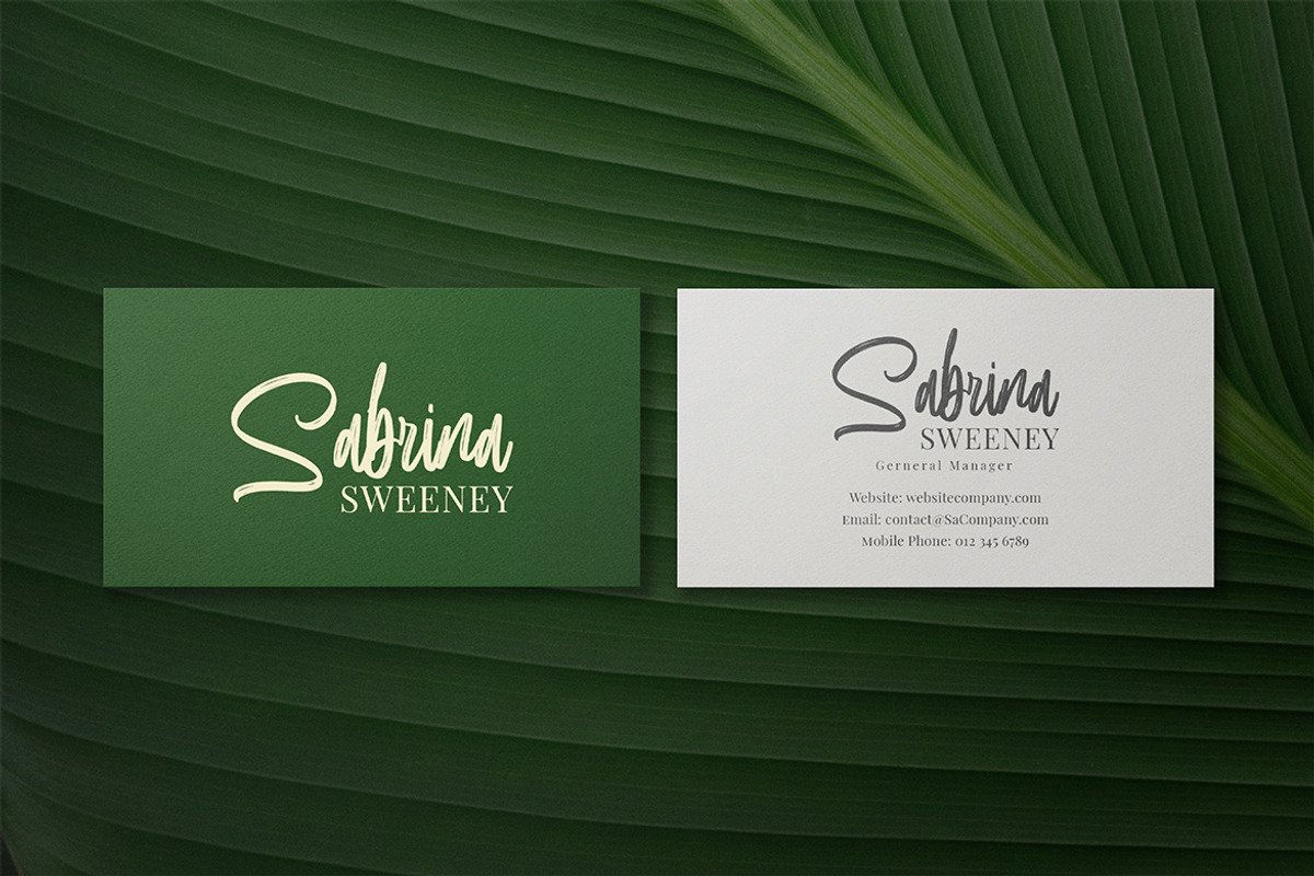 Brushability Handwritten Brush Font, a Handwritten Font by Geelator Studio (Photo 5 of 10)