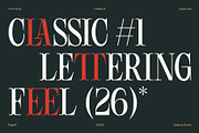 Cassaje – One Case Endless Presence, a Serif Font by Casloop Studio (Thumbnail 3 of 10)