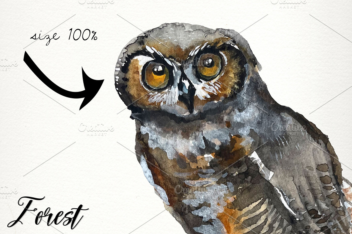 Forest animals watercolor clip art, an Animal Illustration by SandraGraphicDesign (Photo 5 of 5)
